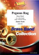 Pegasus Rag Standard
