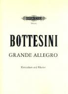 Grande Allegro e-Moll 