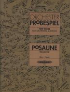 Test Pieces for Orchestral Auditions 