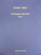 Till Eulenspiegel's Merry Pranks, Op. 28 