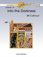 Into The Darkness 