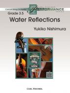 Water Reflections 