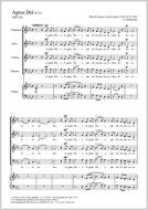 Agnus Dei No. 2 