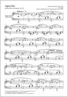 Agnus Dei 