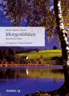 Morgenblüten 