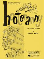 Hootenanny Folk Festival for Band 