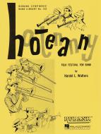 Hootenanny Folk Festival for Band 