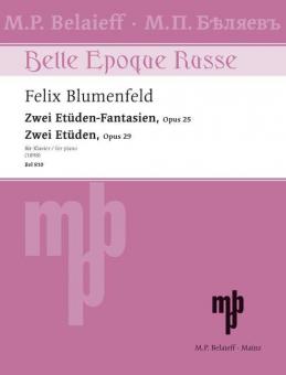 2 Etüden-Fantasien & 2 Etüden Download