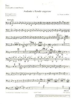 Andante and Rondo Ungarese Download