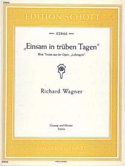 Einsam in trüben Tagen Download