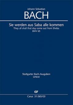 Sie werden aus Saba alle kommen Standard