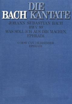 Was soll ich aus dir machen, Ephraim 
