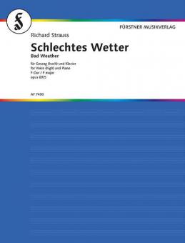 Bad Weather (high F Major) Download
