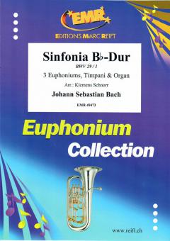 Sinfonia Bb-Dur BWV 29 / 1 Standard