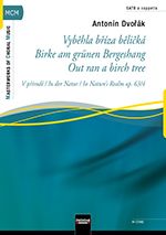 Vybehla bríza belická - Birke am 