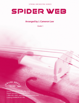Spider Web 