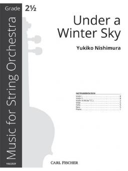 Under a Winter Sky 