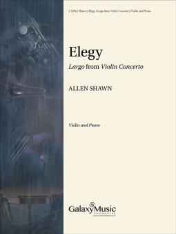 Elegy: Largo from Violin Concerto 