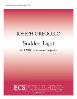 Sudden Light 