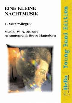 Eine kleine Nachtmusik (1. Satz 'Allegro') 