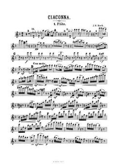Chaconne from BWV 1004 for orchestra (Arr. J. Raff) (Set of parts) 