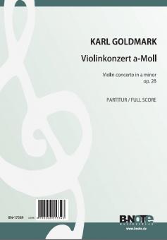 Violin concerto in a minor op.28 (orchestra) 