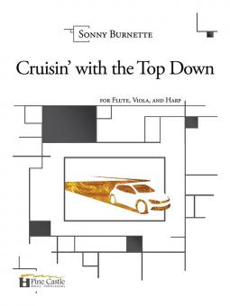 Cruisin' with the Top Down 