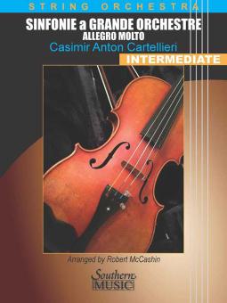 Sinfonie a Grande Orchestra: Allegro Molto (One Movement) 
