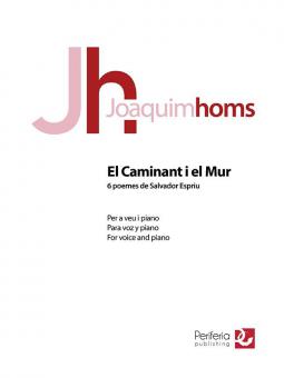 El Caminant i el Mur 