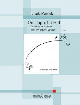 On Top of a Hill 