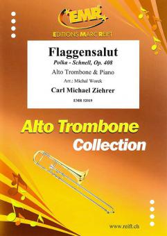Flaggensalut Download