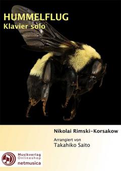 Hummelflug 