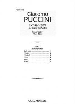 I Crisantemi (The Chrysanthemums) 
