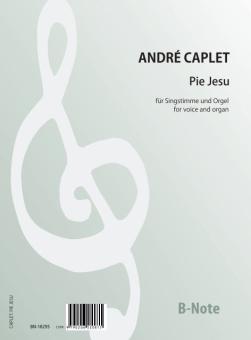 Pie Jesu for voice and organ 