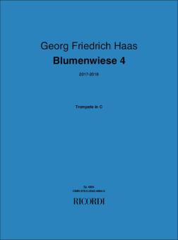 Blumenwiese 4 