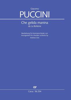 Che gelida manina Download