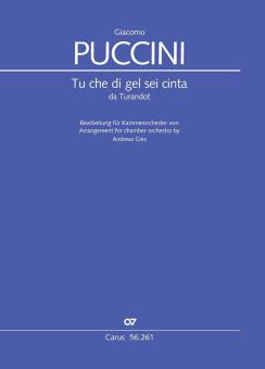 Tu che di gel sei cinta Download