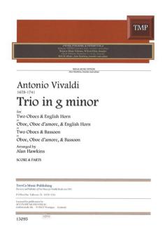 Trio g-moll 