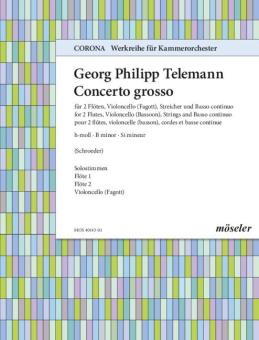 Concerto in si minore TWV 53:h1 - Parti soliste 