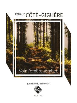 Voir L'Ombre Tomber 