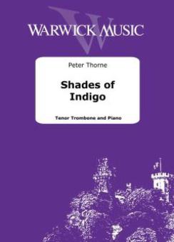 Shades of Indigo 