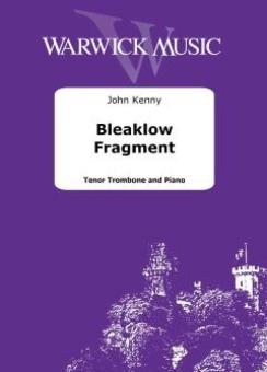 Bleaklow Fragment 