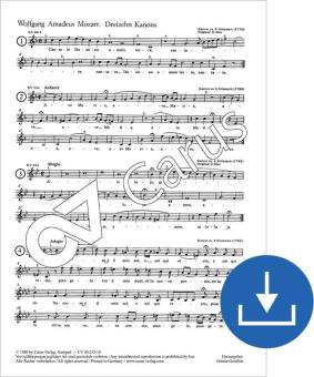 13 Kanons Download