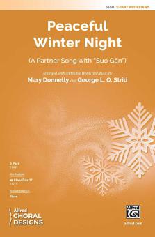 Peaceful Winter Night Standard