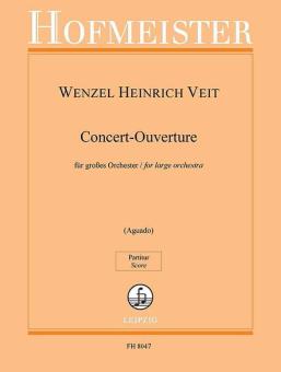 Ouverture da concerto op. 17 