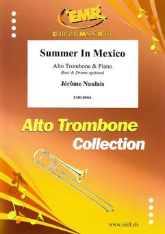Summer In Mexico Download