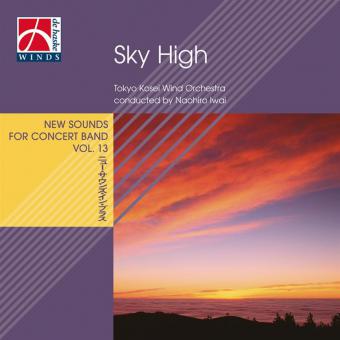 Sky High 