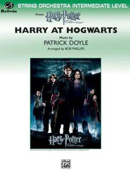 Harry At Hogwarts from Harry Potter and the Goblet of Fire 