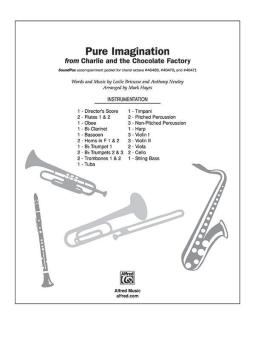 Pure Imagination 