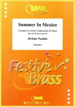Summer In Mexico Download